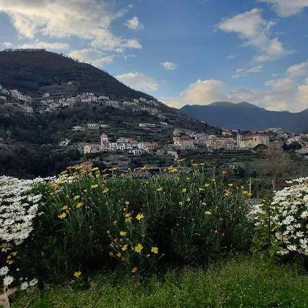 La Margherita Fiorita 라벨로