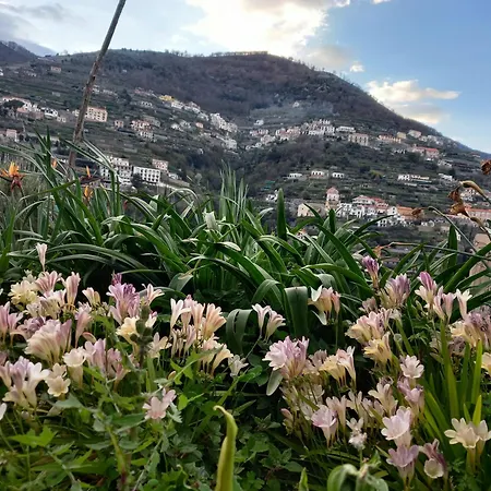 게스트하우스 La Margherita Fiorita 3*