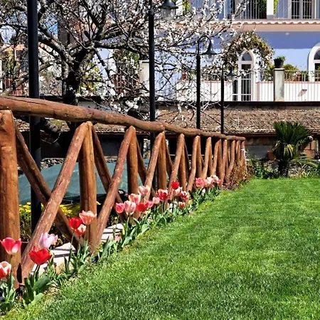 Guest house La Margherita Fiorita