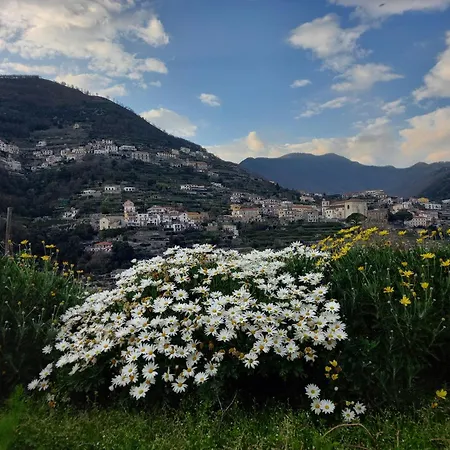 La Margherita Fiorita 게스트하우스 3*