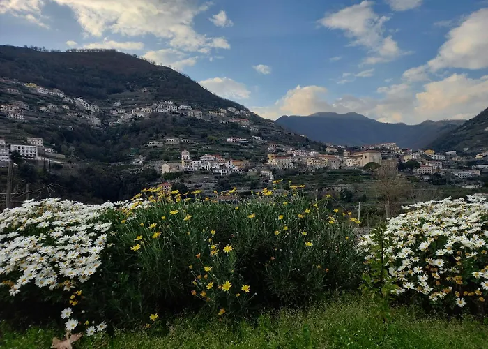 La Margherita Fiorita 라벨로