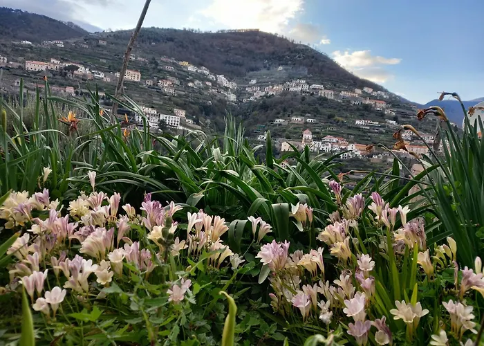 게스트하우스 La Margherita Fiorita 3*