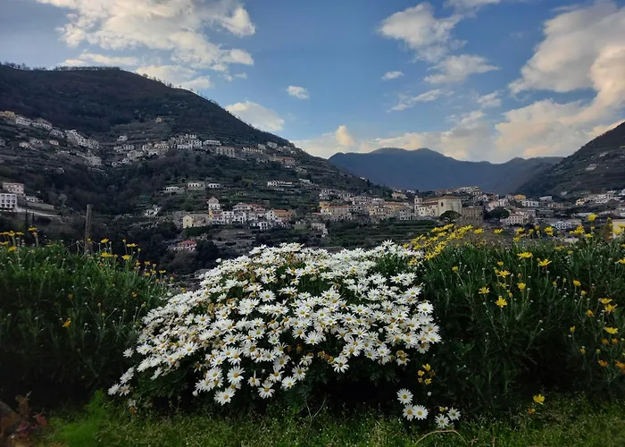 La Margherita Fiorita 게스트하우스 3*