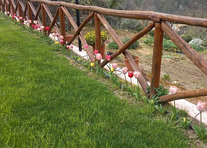 La Margherita Fiorita 3* 라벨로